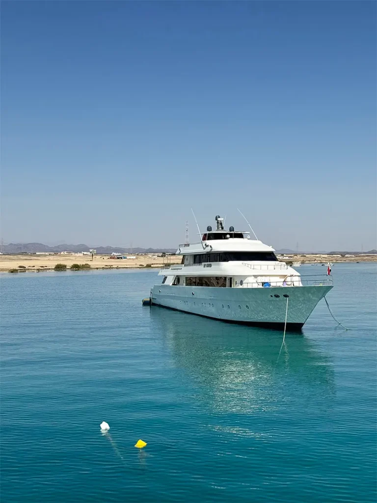 Admira auf der ruhigen See