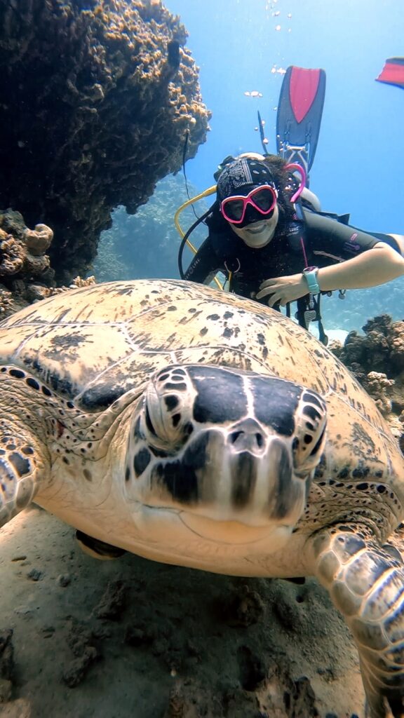 Don't worry, dive happy