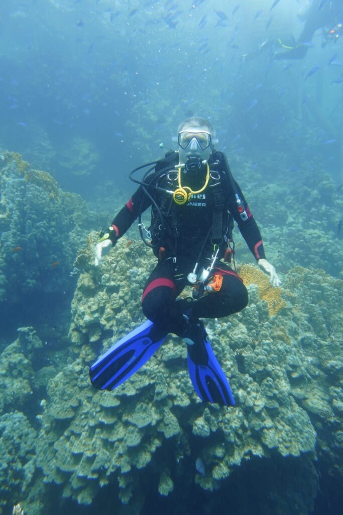 Schneider Sitz im Roten Meer