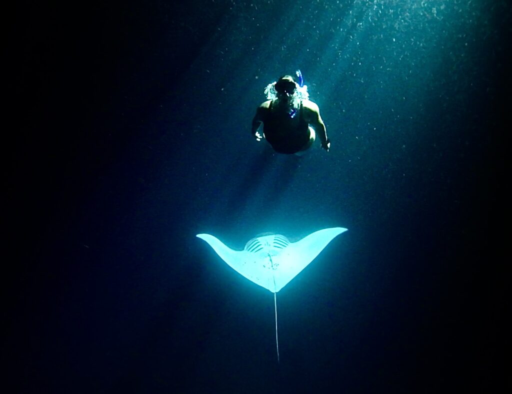 Magic Manta