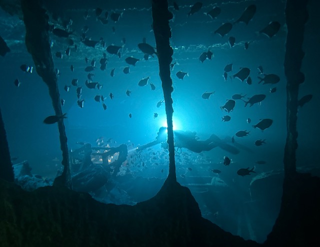 Lichtspiele im Wrack Thistlegorm